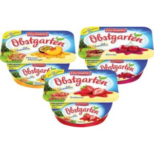 Tvarohový dezert 125g OBSTGARTEN mix (121395.02)