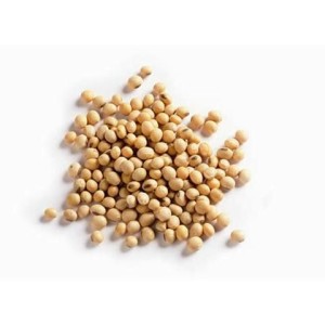 Soja 500g (271598.24)
