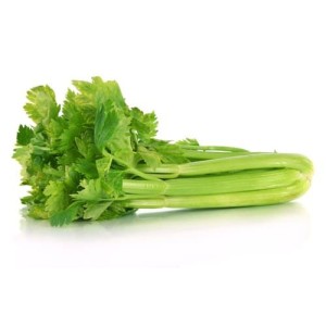 Celer řapíkatý (165.01)