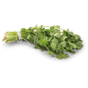 Petržel hladkolistá 30g (524.01)