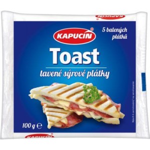 Sýr toustový 100g (124160.05)